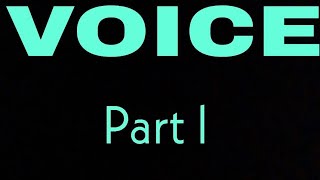 VOICE // PART 1 // TRANSFORMATION// ENGLISH GRAMMAR