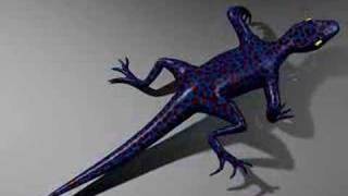 Test rig of a lizard