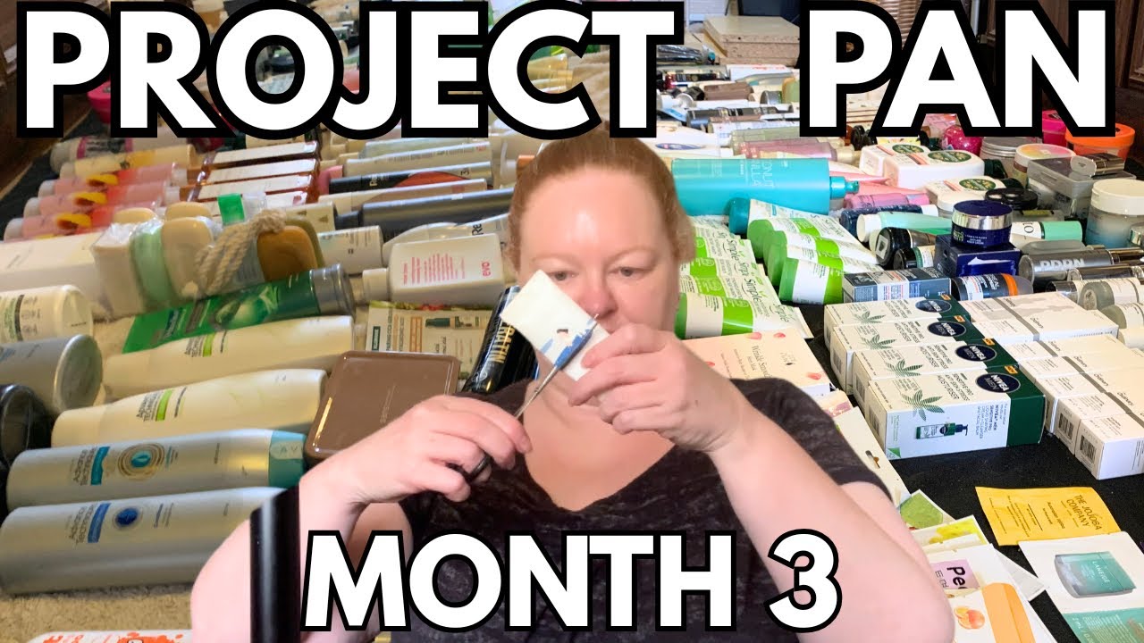 Project Pan / Month 3