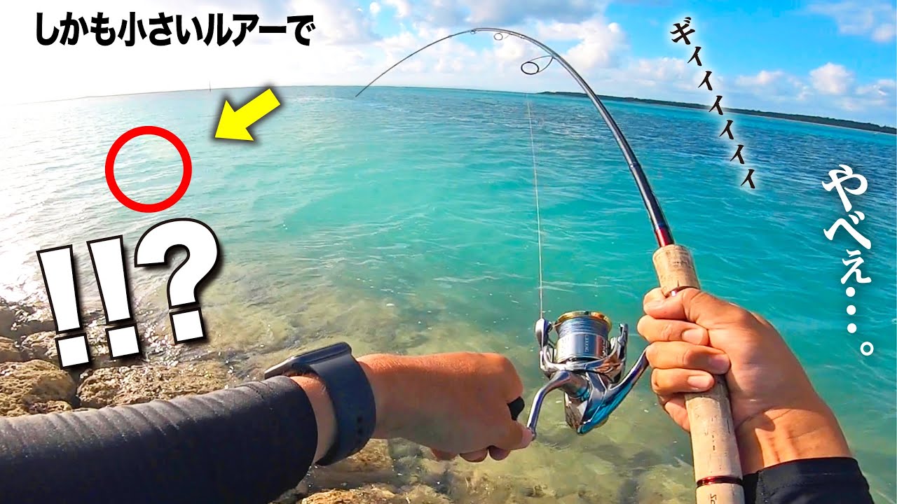 Monster] I tried casting lures at an abandoned port after the self