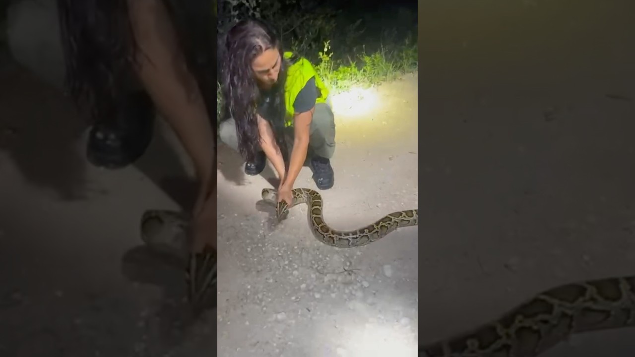 Girls like to catch snakes too! 