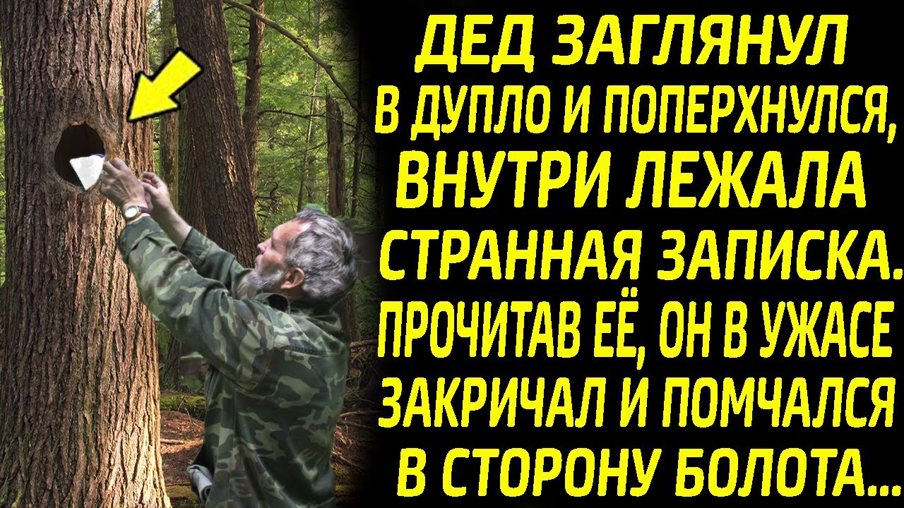 Дед побледнел, увидев записку в дупле, прочитав её он ужаснулся и ...