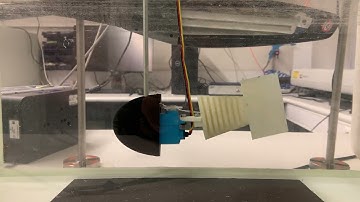 Robotic fish video