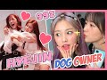 (EN SUB) IZONE - 99z HyeJin ❤️ Dog Owner Moments 🐶 #광배형 #댕댕 #KwangDaengz #아이즈원  #アイズワン,