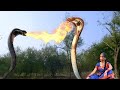 इच्छाधारी नागिन को पाने के लिए आमने सामने हुए दो नाग | Nagin Superhit Serial | #naagmani