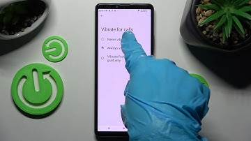 How to Enter Vibration Settings on SONY Xperia 10 IV - Open Vibration Settings
