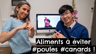 Aliments à éviter #poules 🐔 #canards 🦆 ! by Tony et Léon - Conseils de vétérinaires 3,566 views 11 months ago 8 minutes, 57 seconds