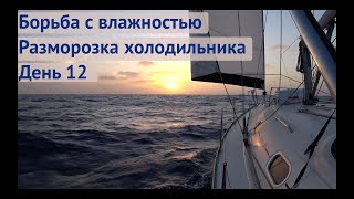 картинка: Борьба с влажностью  Разморозка холодильника | Трансатлантика день 12