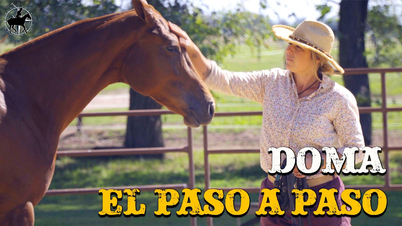 De principiante a profesional | Técnicas de entrenamiento del caballo de polo| Mela Zubillaga