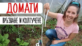 🌱✂️Градинарство за начинаещи | 🍅 грижа за доматите | колтучене и връзване