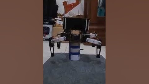 Quadruped Robot 2 -  Stabilizion Algorithm