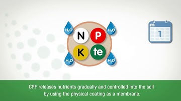 Ekompany corporate animatie