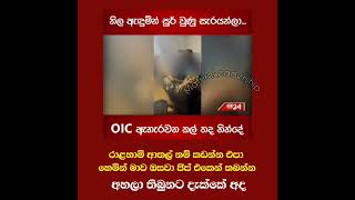 අහලා තිබුනට දැක්කේ අද 🤣 #akd #srilanka #srilankapolitics