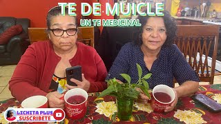 TE DE MUICLE