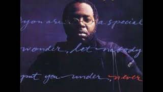 CURTIS MAYFIELD    NEVER SAY YOU CAN&#39;T SURVIVE