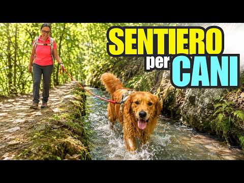 THE ULTIMATE DOG TRAIL EXISTS: Let's try it with Summer