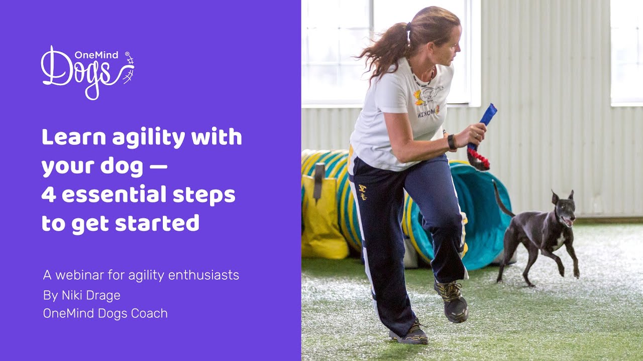 FREE Webinar: Learn agility with your dog — 4 essential steps to get ...