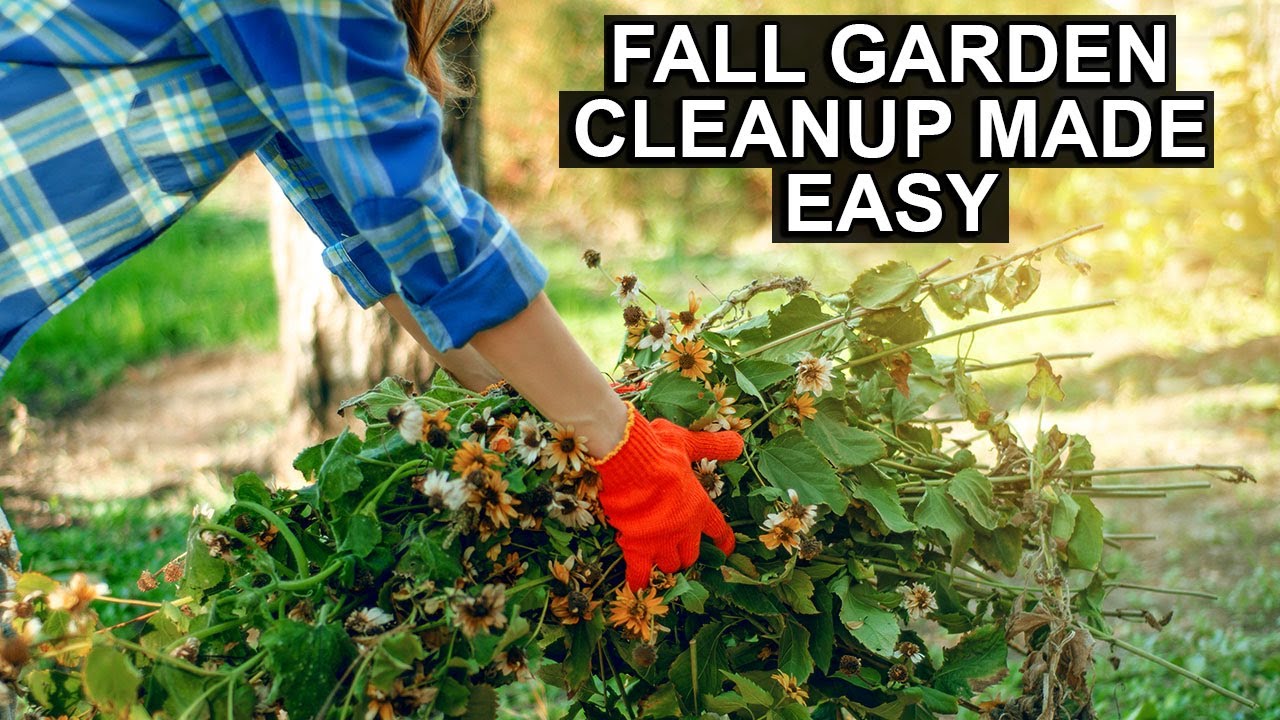 Everything You Need to Know for Your Fall Garden Cleanup YouTube