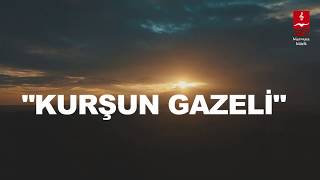 EŞREF ZİYA \