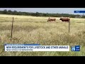 New requirements for livestock and other animals