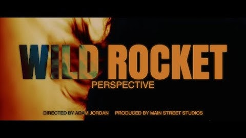 Wild Rocket - Perspective (Official Music Video)
