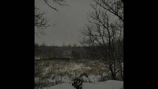 138 BPM Dark Plugg, Ambient Trap for sale .