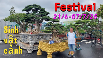 Lễ hội Sinh vật cảnh có nhiều cây cảnh, Bonsai lớn, đẹp và đa dạng 2025