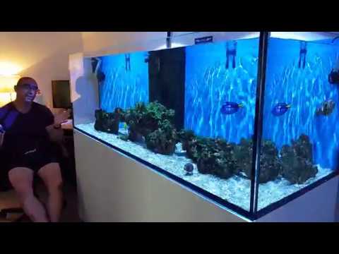 Red Sea Reefer 750 Xxl It S All Gone Wrong Again And Another Tank In The House Youtube