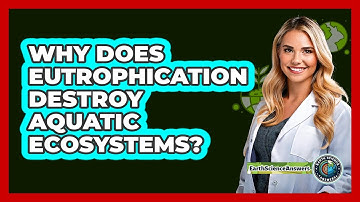 Why Does Eutrophication Destroy Aquatic Ecosystems? - Earth Science Answers