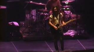 Pearl Jam - In My Tree (1996-09-21 Toronto) 3 Cam Mix