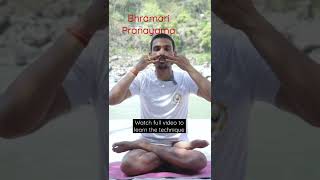 Bhramari Pranamaya | Mudra For Bhramari Pranamaya | @prashantj yoga