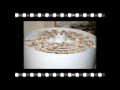 Dehydrating White Mushrooms with my Nesco Dehydrator