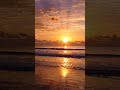 Chasing the horizon.#sunset #beach #nature #explore #visualart #artisync #beachvibe @Artisync_ai