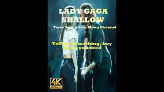 Lady Gaga &amp; Bradley Cooper – Shallow (Lyrics) 🎤✨