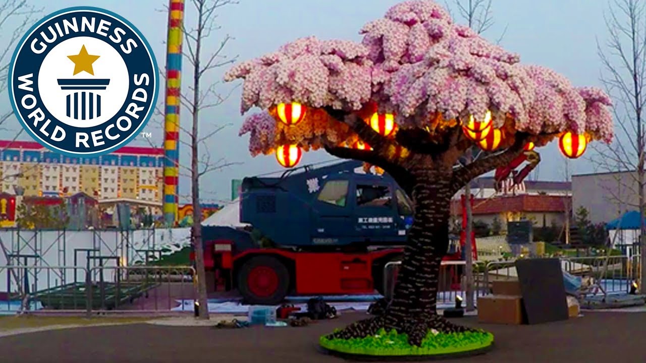 Image result for cherry tree with lego guinness records