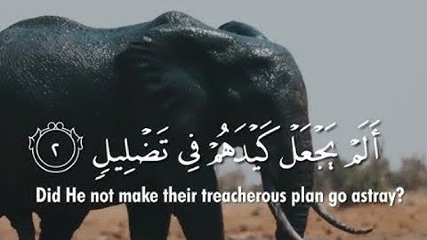 Sūrat al-Fīl (Arabic: سورة الفيل,/ suaah feel❤️❤️❤️❤️❤️❤️
