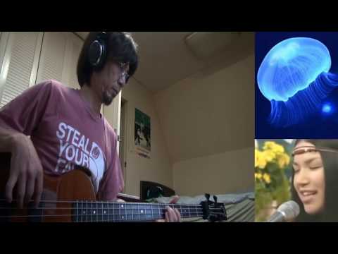 愛を込めて花束を/Short Ver.-Superfly(bass Cover)