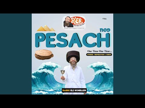 Ten Makkos (feat. Rabbi Eli Scheller)