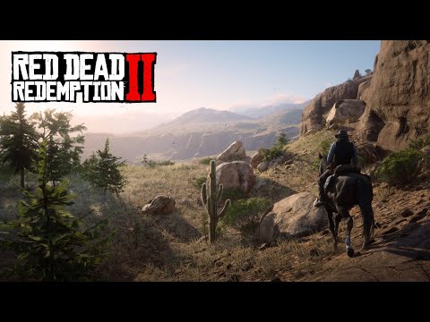 Видео: ВЕЧЕРНИЕ ПОСИДЕЛКИ ► Red Dead Redemption 2 #28