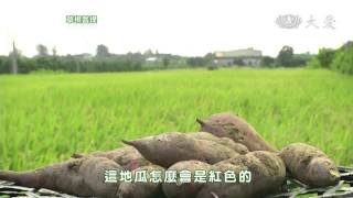 【草根菩提】預告 - 20140822 - 368出去走走 - 共耕田