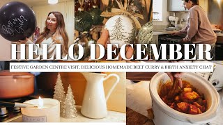 HELLO DECEMBER festive garden centre visit, delicious homemade beef curry & cosy afternoon at home