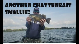 Shallow Rock + Chatterbait = Smallmouth! (Live Fishing Highlight)