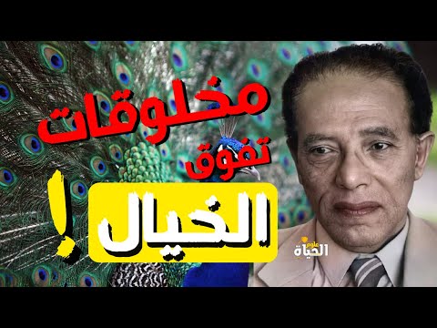 أسرار لا تصدق الحواس الخارقة في الحيوانات I Dr Mostafa Mahmoud I مقتطفات نادرة
