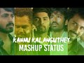 kannu kalanguthu nenju valikuthu mashup | what's app status Tamil | potter_hari