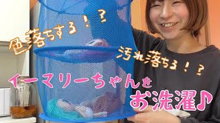 イーマリーちゃんをお洗濯してみよう♪【イーマリーちゃん】