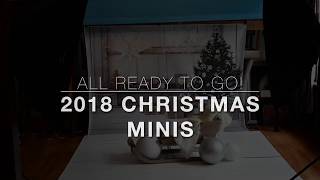 Studio Set Up - 2018 Christmas Mini Sessions
