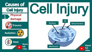 Cell Injury | What are the main causes of cell injury? | Pathology in 1 minute