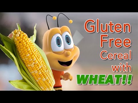 lawsuit:-general-mills-puts-wheat-flour-in-"gluten-free"-cereal