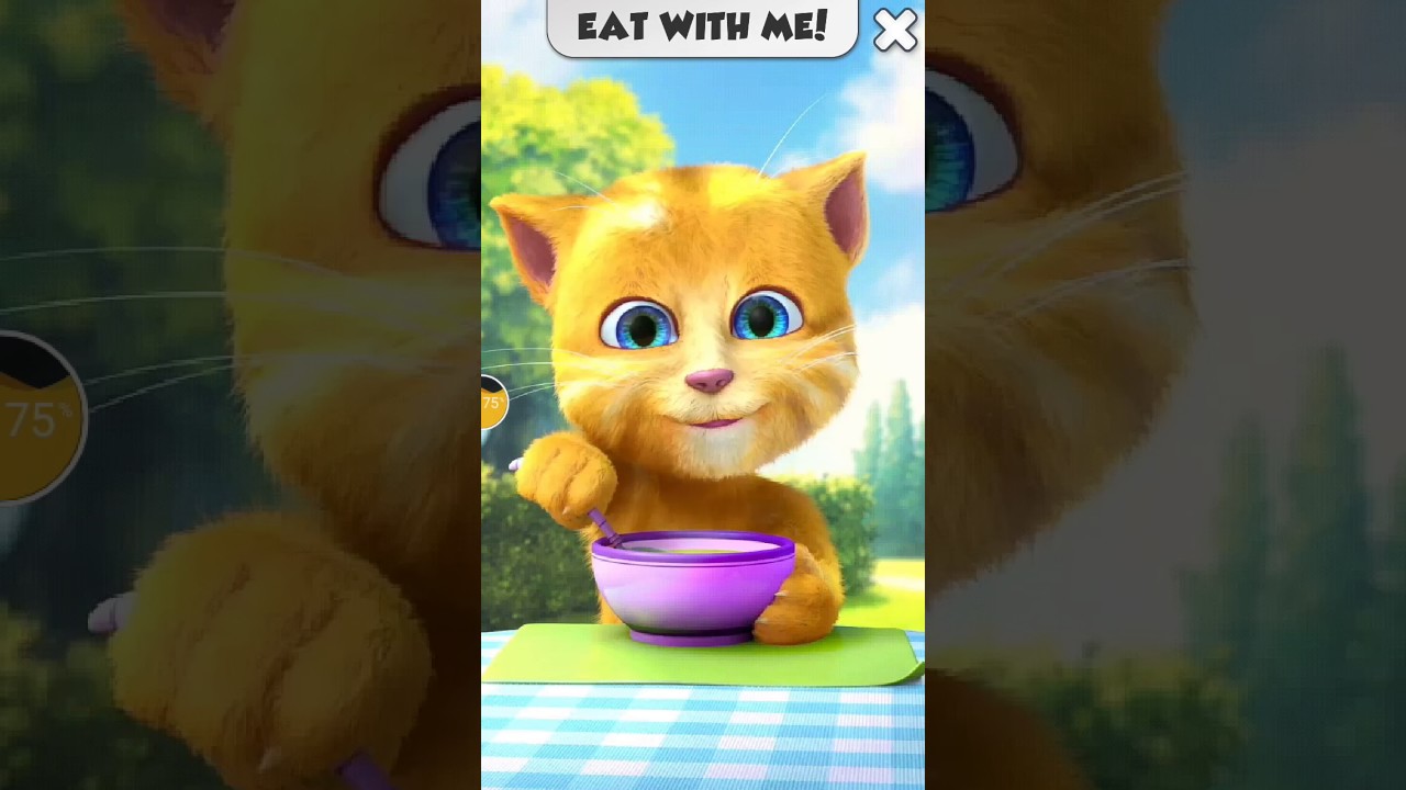 Kucing Lucu Lagi Makan YouTube