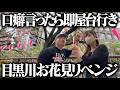 口癖言ったら即屋台行きの目黒川お花見リベンジ